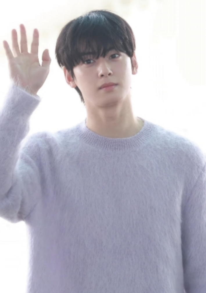 Cha Eun‑woo (ASTRO)